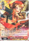 BD/W95-T01 TD “偶然を集めて”戸山香澄