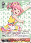BD/W95-T02 TD “エールソング”丸山彩