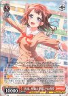 BD/W95-T11 TD “再来、桜舞う季節”戸山香澄
