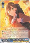  BD/W95-088 R “心、震える音”花園たえ 