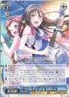  BD/W95-106 U “大切なメモワール”花園たえ 