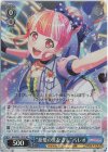 BD/W95-107S SR “慈愛のまなざし”パレオ