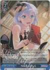  BD/W95-120S SR 外国語の訳し方 