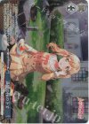 BD/W95-P09 PR 満開の桜の下で