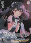BD/W95-P33 PR “ふふん、任せて!”二葉つくし