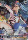 BD/W95-P06 PR “前だけを向こう”花園たえ