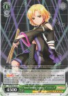 BD/WE34-13 R “Rausch und／and Craziness ll”マスキング