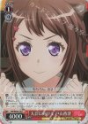 BD/WE35-15 S-U 大会に向けて 戸山香澄(ホロ)