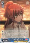  BD/WE35-36 U バンド交流 今井リサ 