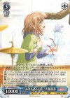 BD/WE49-57 N “あなたみたいに”大和麻弥