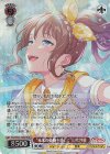 BD/WE49-35BDR BDR “未来の鼓動を感じて”山吹沙綾(箔押し入り)