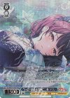 BD/WE49-47BDR BDR “いざ！渋谷を冒険”二葉つくし(箔押し入り)
