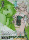  BRD/W139-046S SR★ 星光の守護者 ティル 