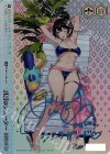 BRD/W139-098A AGR 真夏のシューター(直筆サイン入り/シリアルナンバー付き)