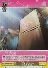  BTR/W107-030S SR 完熟マンゴー 