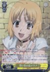  CN/SE02-06S S-C 思い出の品マリア(ホロ) 