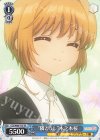  CCS/W66-T15 TD "隣どおし"木之本桜 