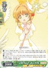  CCS/W66-028 R "『記録』せよ!"木之本桜 