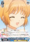  CCS/W66-094 C "みんなでお花見"木之本桜 