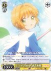  CCS/W66-102 PR “レインコート”木之本桜 