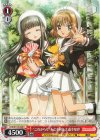  CCS/W113-065 C “これからも”木之本桜＆大道寺知世 