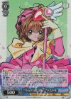 CCS/W113-088S SR “『なかよし』を目指して”木之本桜