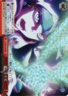 CC/S48-075R RRR 闇に差す光