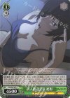  CSM/S96-047 C 新人歓迎会後 姫野 