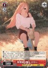  CSM/S96-063 U 無邪気な魔人 パワー 