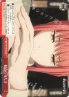 CSM/S96-076 CR 秘められた力
