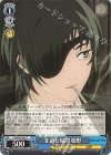  CSM/S96-093 C 正直な疑問 姫野 