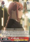  CSM/S96-104 PR 新人歓迎会後 マキマ 