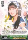DJ/S97-P03a PR “千リ!の道も一歩から”胡桃