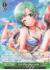 DJ/S97-057 U ぷかぷか☆Sea turtle