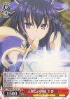 DAL/W79-T03 TD 人間との対峙 十香