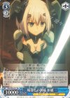 DAL/W79-T17 TD 精霊との対峙 折紙