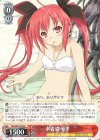  DAL/W79-054 R 水着姿 琴里 