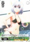  DAL/W99-042 C 魅惑のプロポーション 折紙 