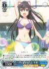 DAL/W99-104 PR デレさせドーム 十香