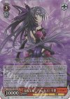 DAL/W99-058S SR 反転した〈プリンセス〉 十香