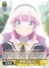 DBG/W87-011 U 神様の失敗 ひな