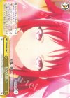 DBG/W87-024 CC 妹のお願い