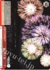 DBG/W87-075 CC 夜に咲く花