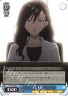 DBG/W87-088 C CEO