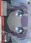 DBG/W87-073R RRR 神の力
