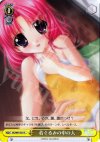 DC/W01-021 C 着ぐるみの中の人