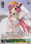 DC/W01-034 U スキーウェアのななか