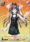 DC/W01-101 PR ディーラーの音姫