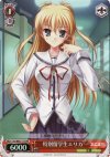 DC/W01-111 PR 特別留学生エリカ