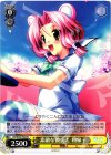 DC/W23-T02 TD 素敵な彼氏と 和泉子